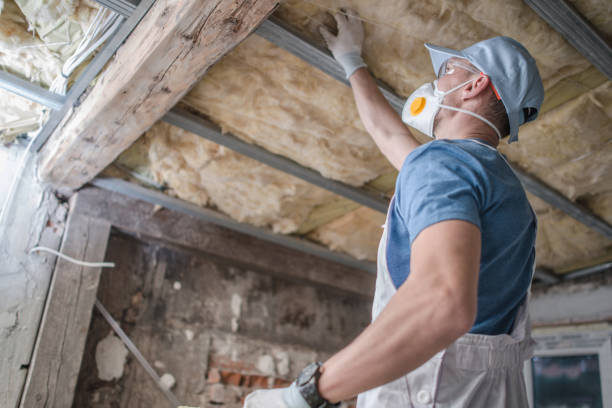 Types of Insulation We Offer in Luverne, MN