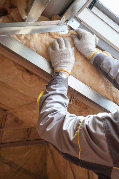 Best Commercial Insulation in Luverne, MN